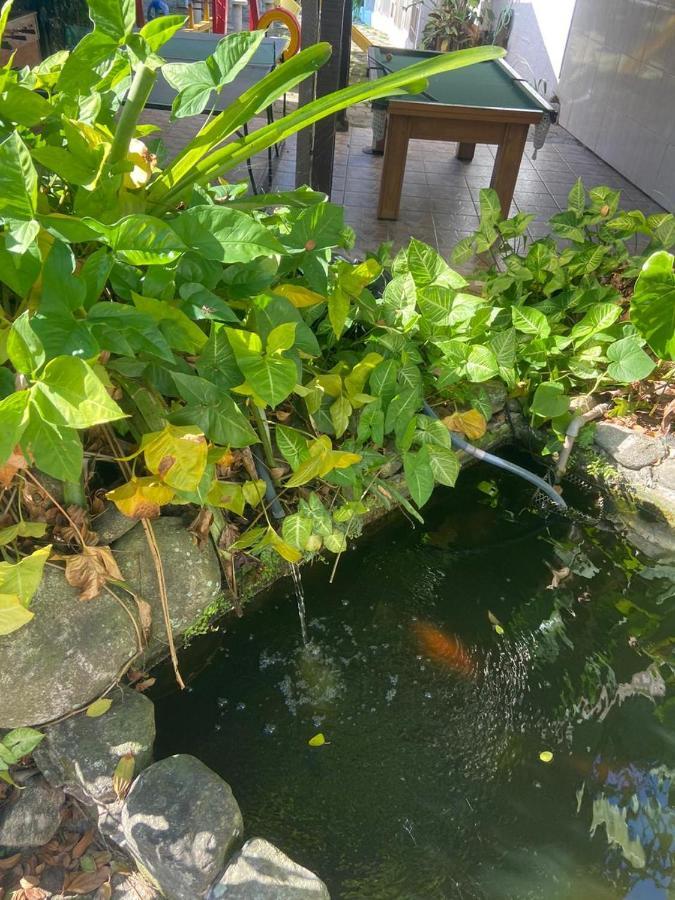 Chales Marissol أوباتوبا المظهر الخارجي الصورة